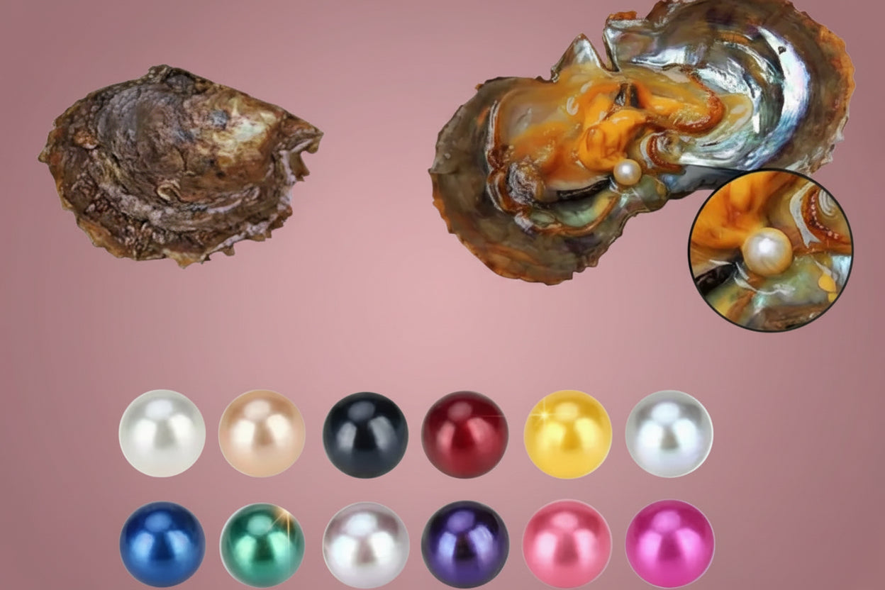 Single Pearl Oyster