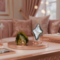 Northern Star Shaped Pearl Oyster