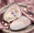 Twin Round Pearl Oyster