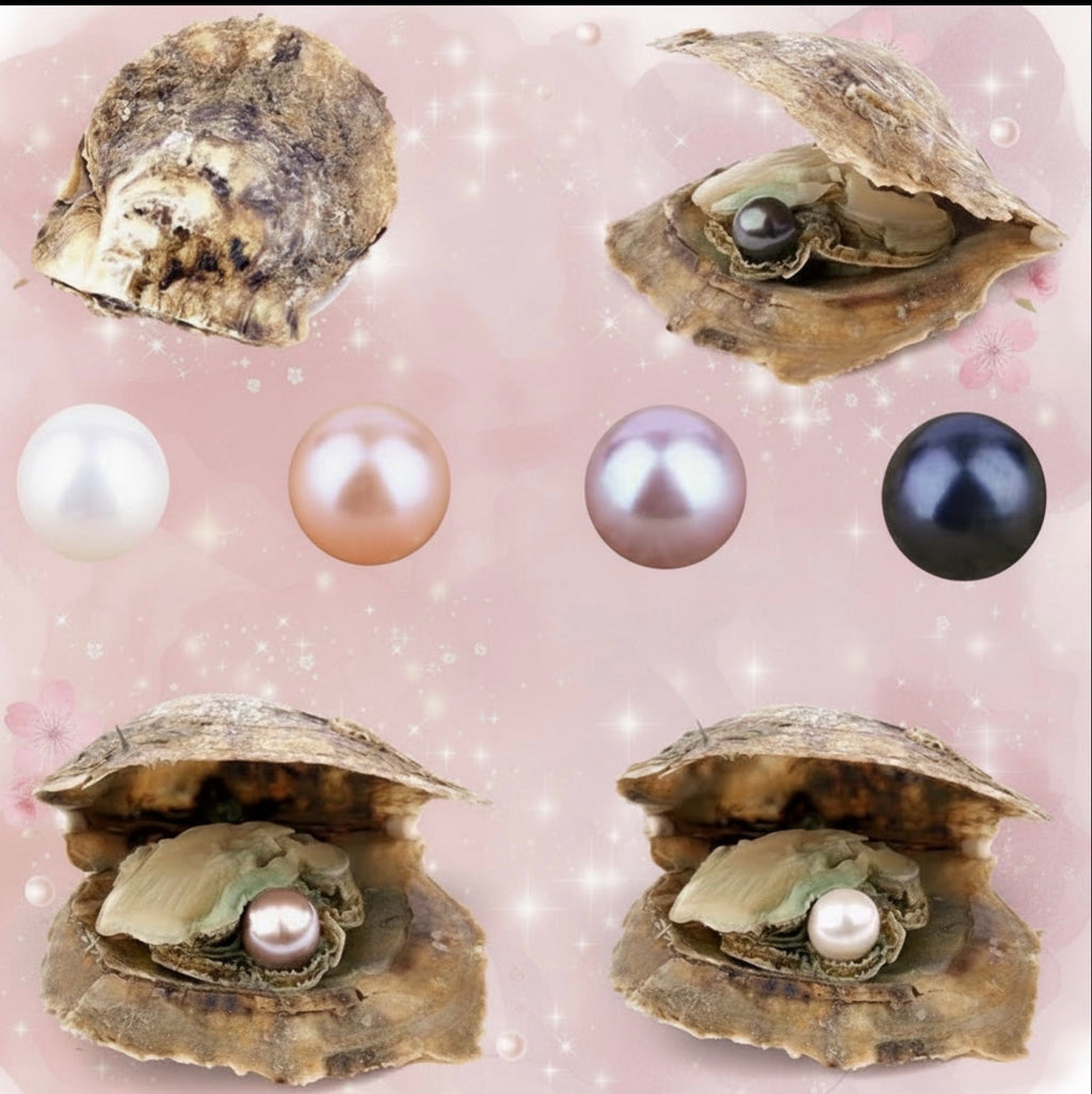 Single Pearl Oyster
