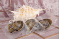 Variety Tray of 3 Shaped Pearl Oysters